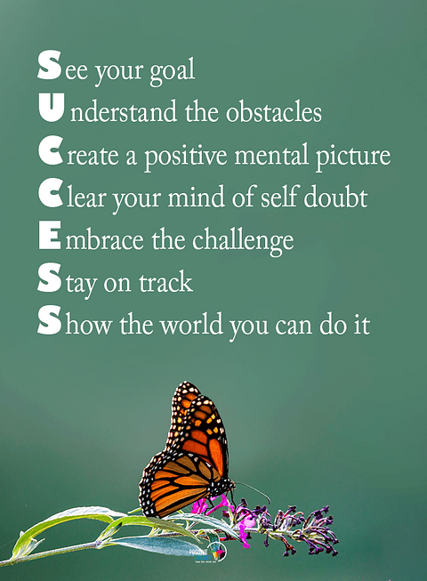 Visions Health & Wellness Llc